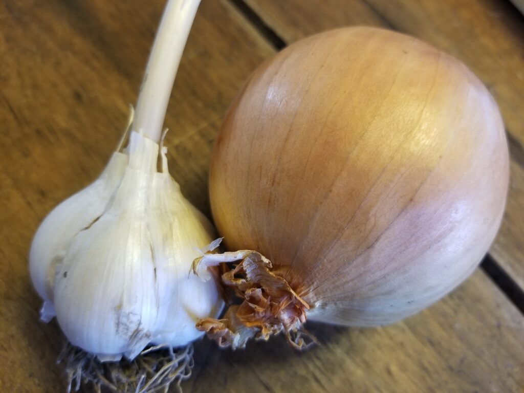 onion and garlic